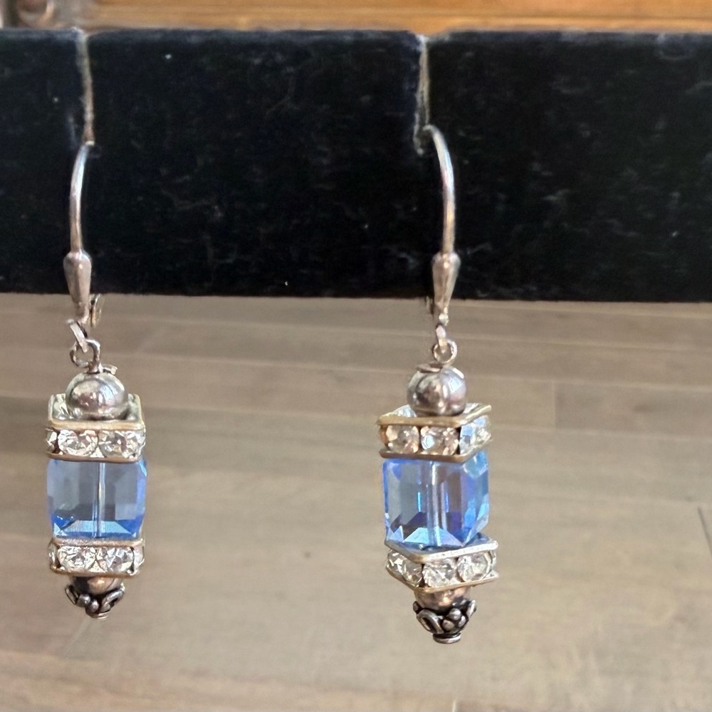Chic Silver and Blue Drop Earrings
